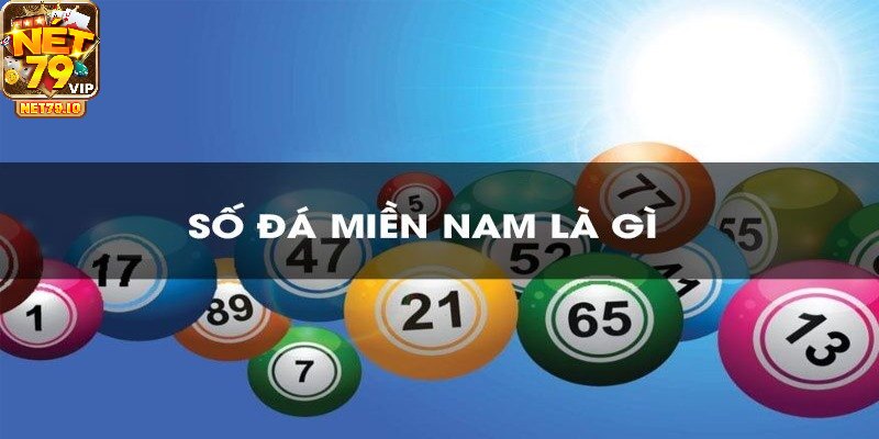 Đôi nét về số đá miền nam