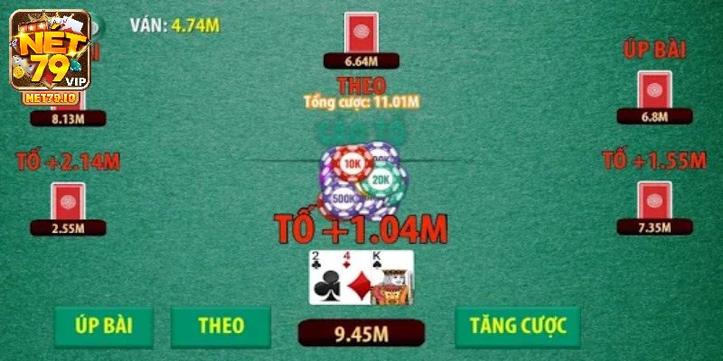 Những lựa chọn cần chú ý khi đánh cào tố